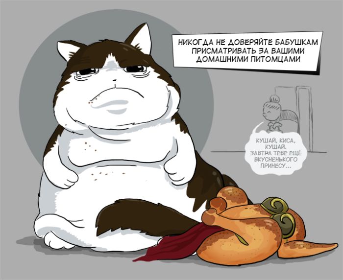 Прикольные картинки