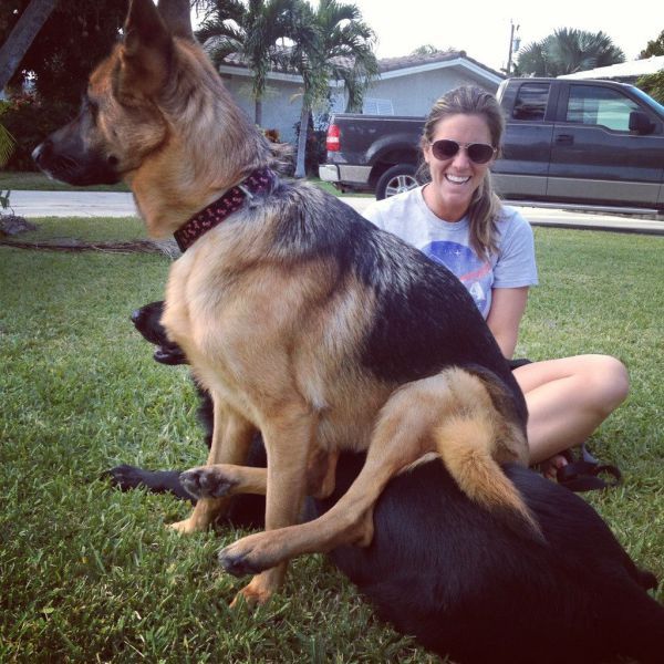 Прикольные картинки