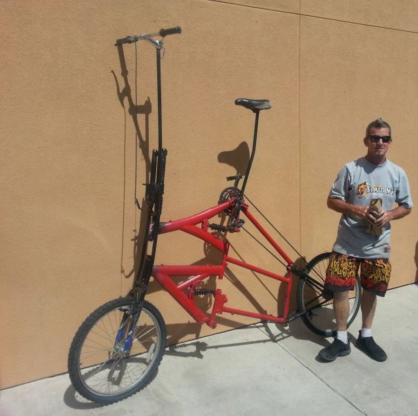 Прикольные картинки