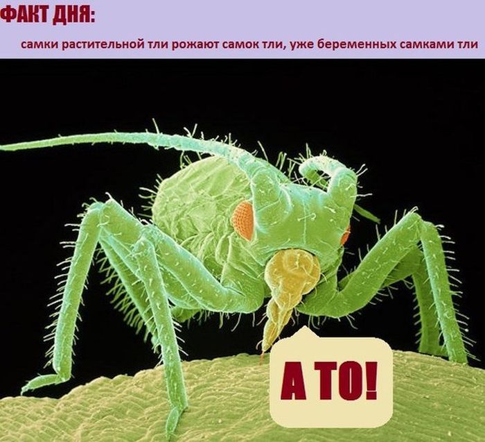 Прикольные картинки