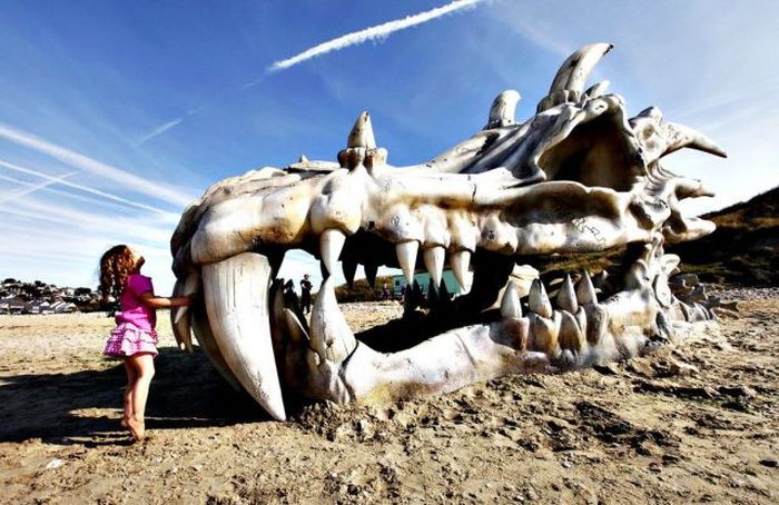 Прикольные картинки