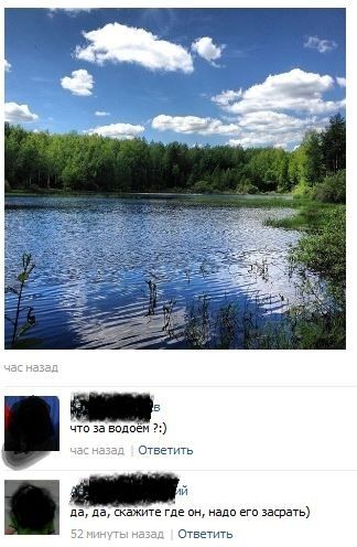 Прикольные картинки