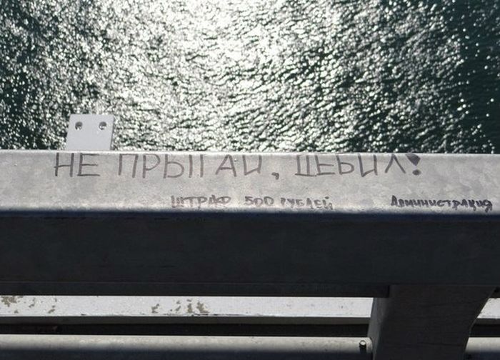 Прикольные картинки