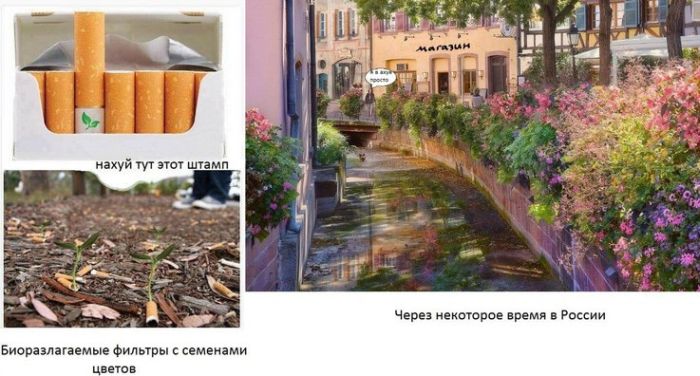 Прикольные картинки