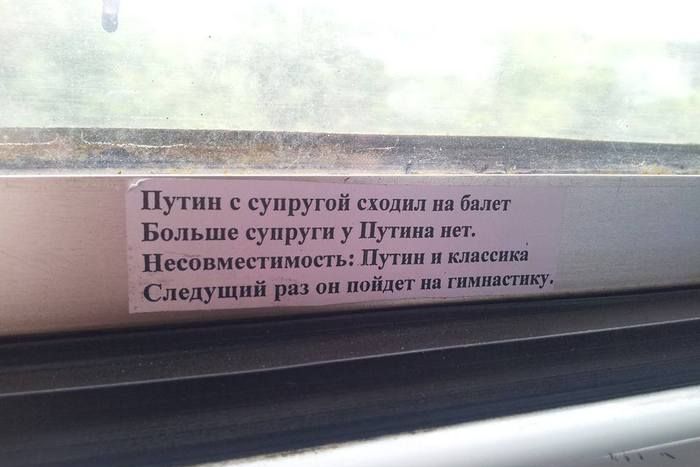 Прикольные картинки