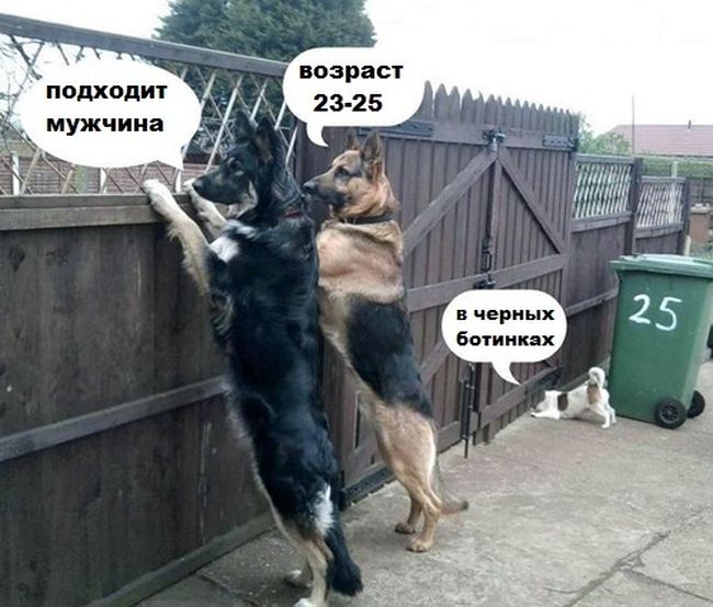 Прикольные картинки