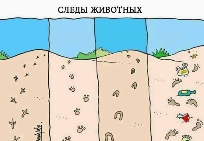 Прикольные картинки