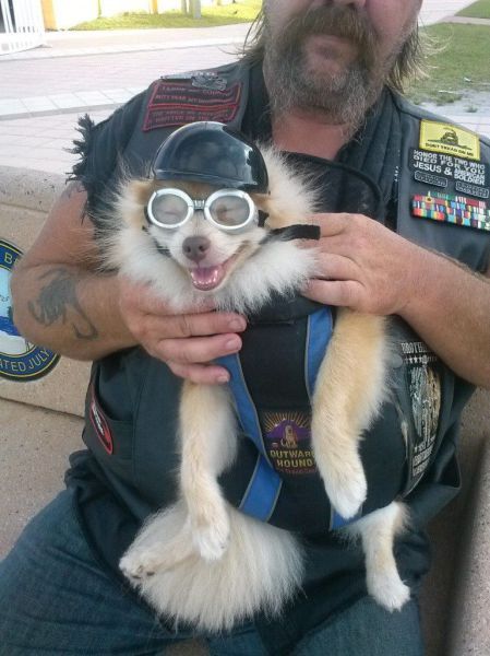 Прикольные картинки