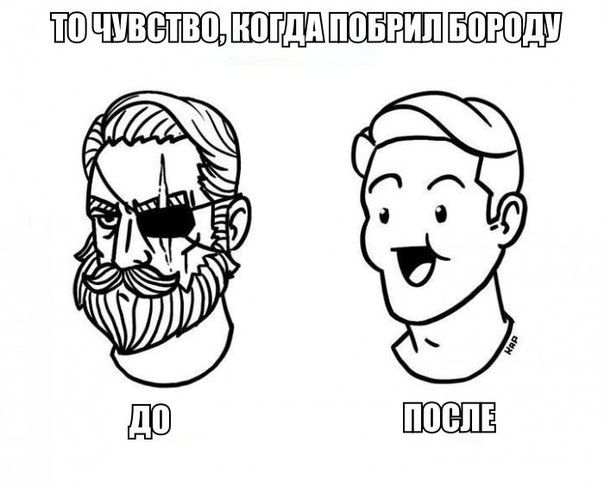 Прикольные картинки