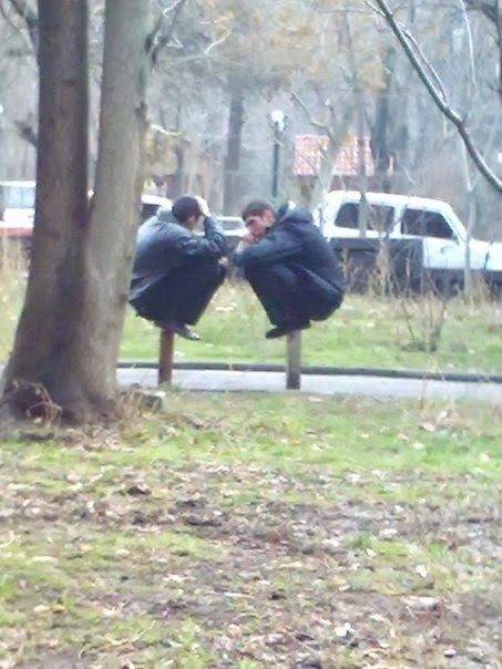 Прикольные картинки