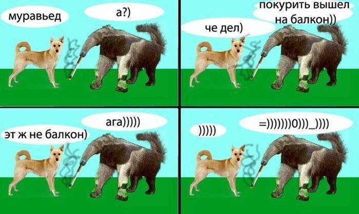 Прикольные картинки