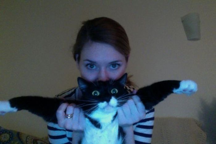 Прикольные картинки