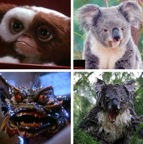 Прикольные картинки