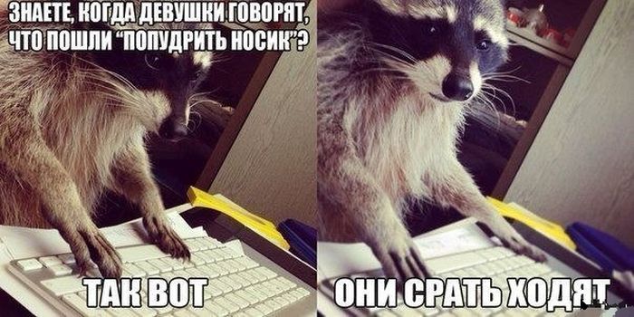 Прикольные картинки