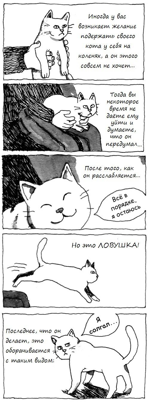 Прикольные картинки