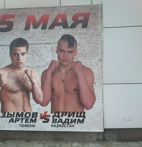 Прикольные картинки