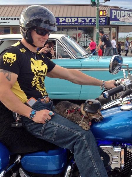 Прикольные картинки