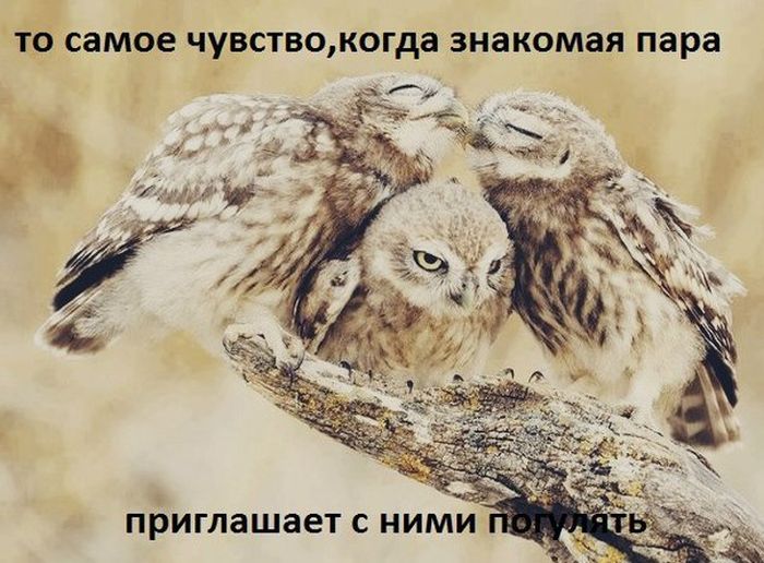 Прикольные картинки