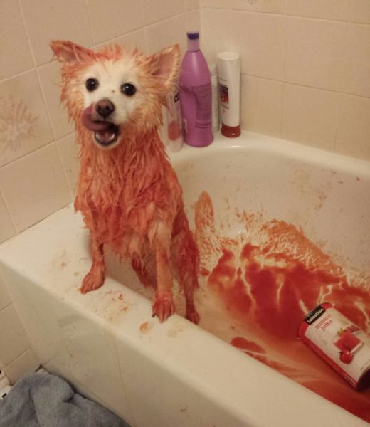 Прикольные картинки