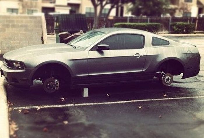 Прикольные картинки