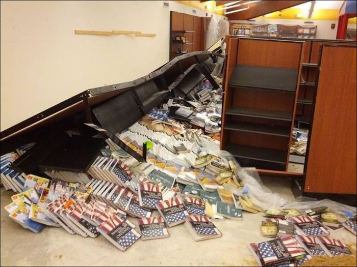 Прикольные картинки