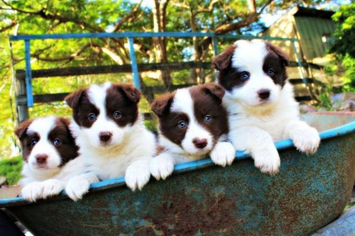 Прикольные картинки