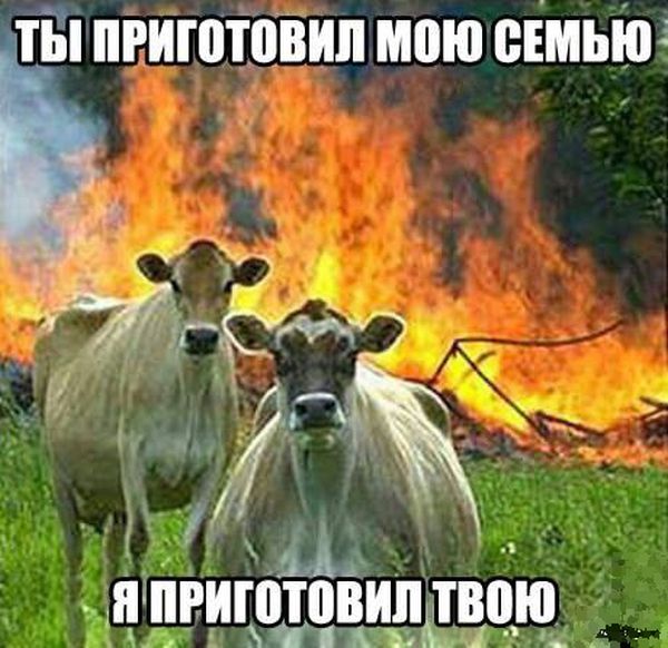 Прикольные картинки