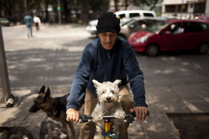 Прикольные картинки