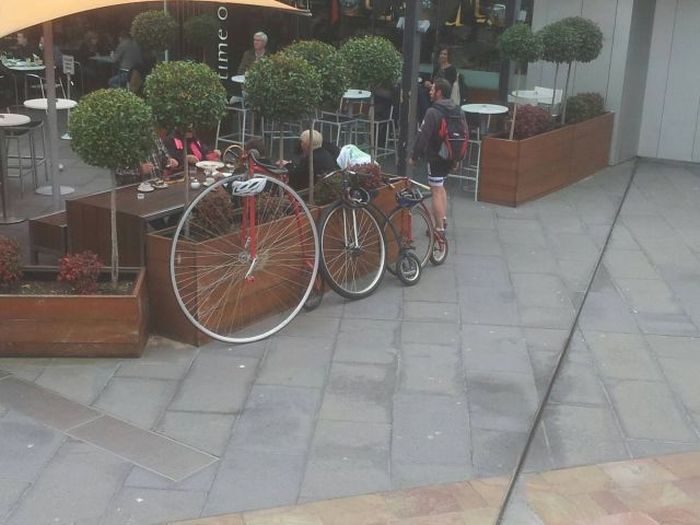 Прикольные картинки