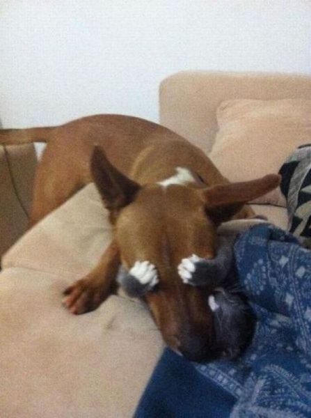 Прикольные картинки