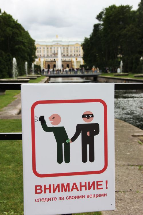 Прикольные картинки