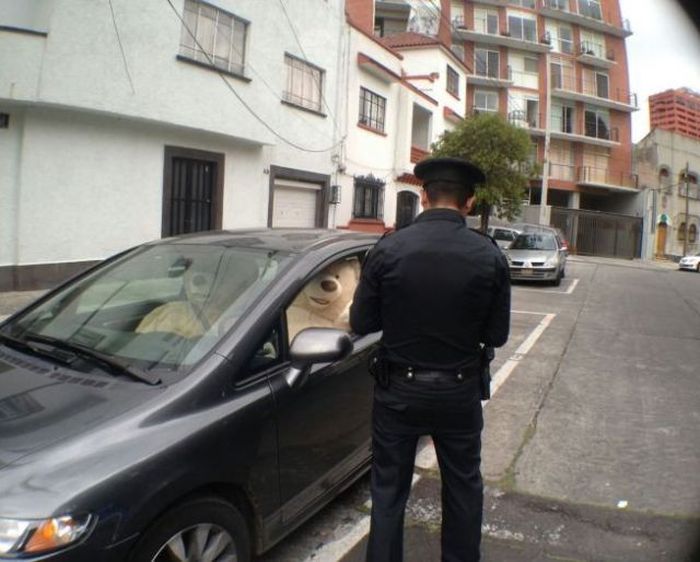 Прикольные картинки