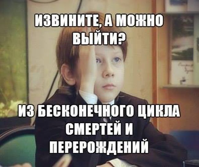 Прикольные картинки