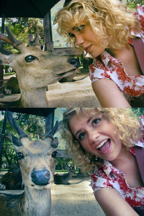 Прикольные картинки