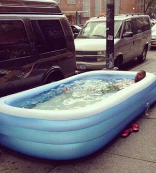 Прикольные картинки