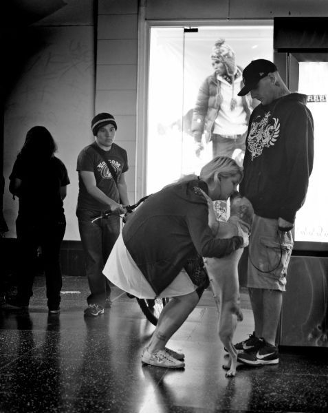 Прикольные картинки