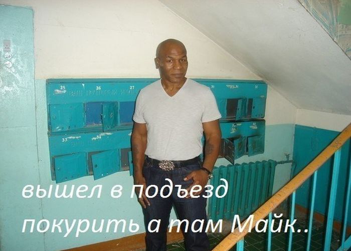 Прикольные картинки