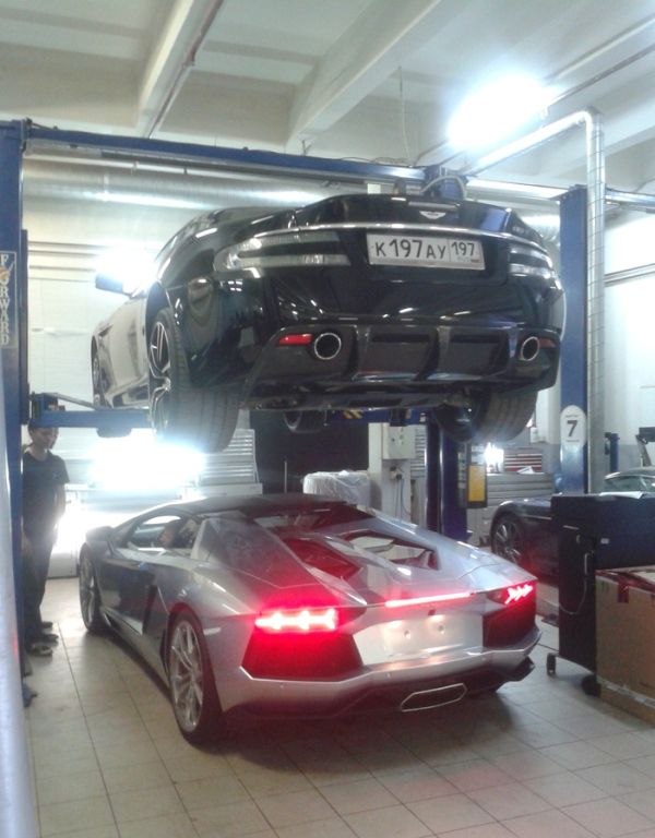 Прикольные картинки