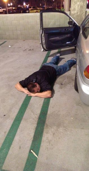 Прикольные картинки (102 фото)