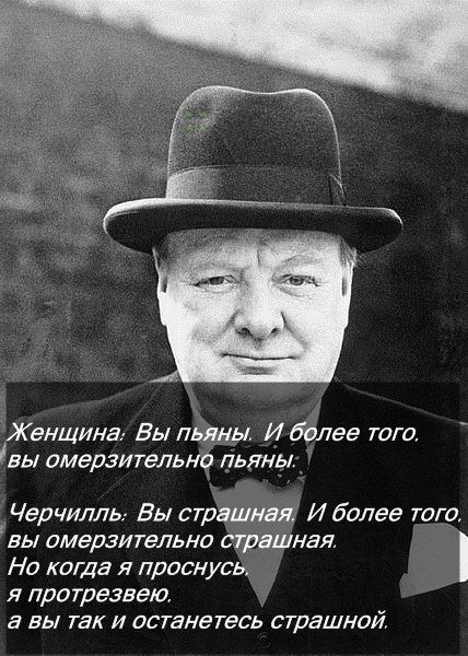 Прикольные картинки (102 фото)