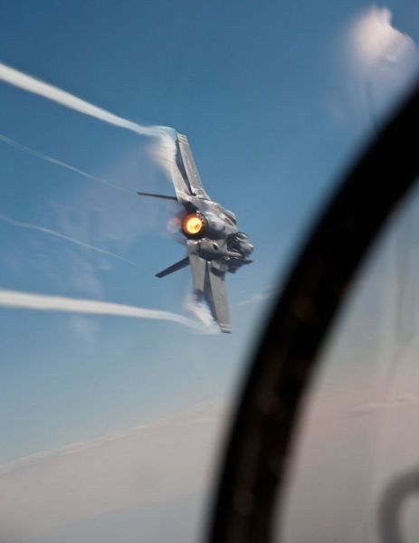 Прикольные картинки (102 фото)