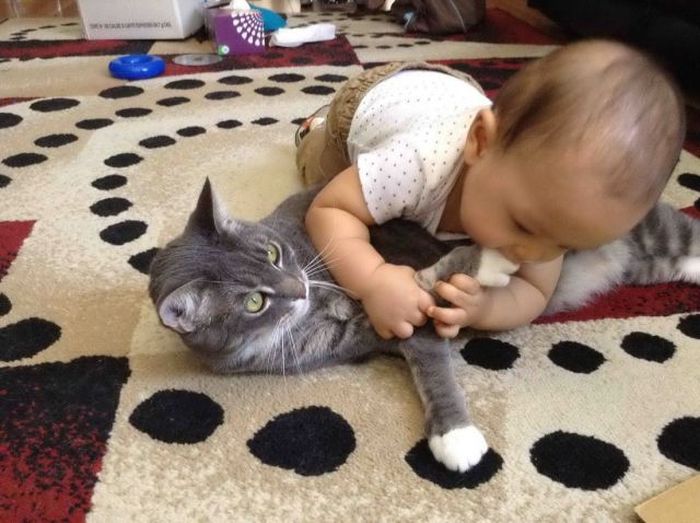 Прикольные картинки (102 фото)