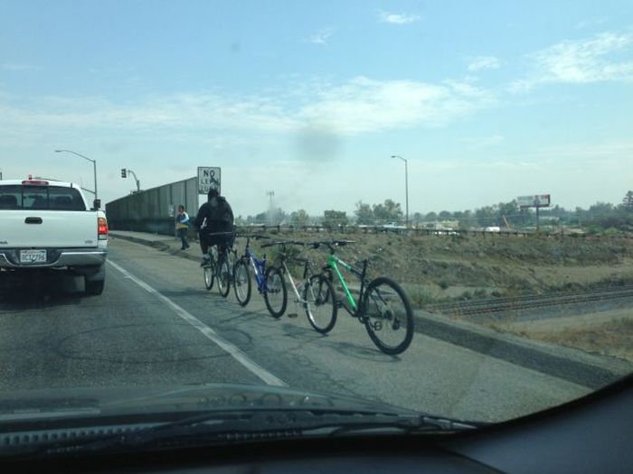 Прикольные картинки (102 фото)