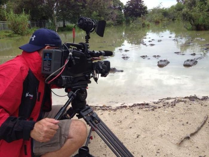 Прикольные картинки (150 фото)