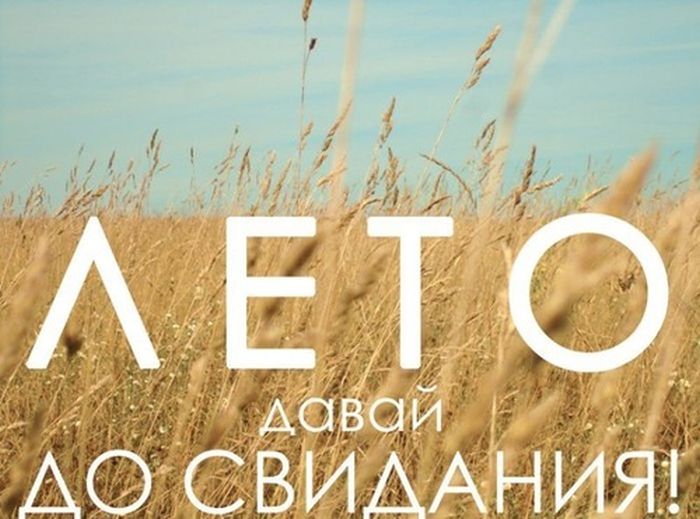 Прикольные картинки (150 фото)