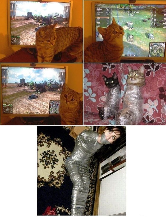 Прикольные картинки (150 фото)