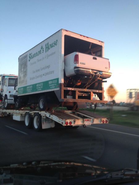 Прикольные картинки (150 фото)