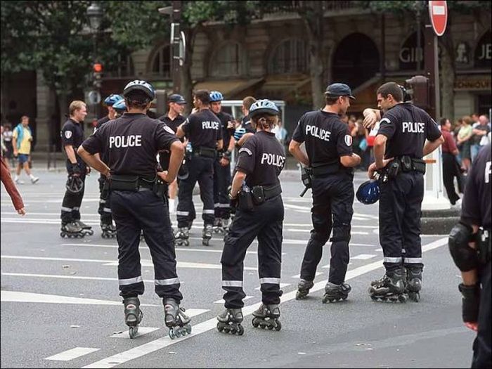 Прикольные картинки (150 фото)