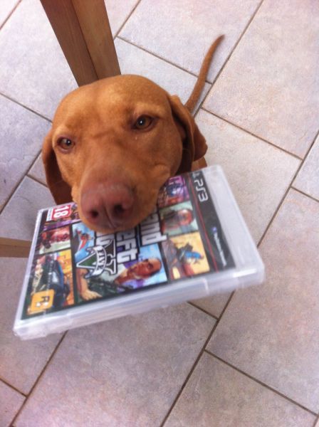 Прикольные картинки (97 фото)