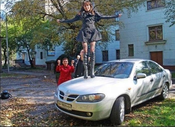 Прикольные картинки (97 фото)